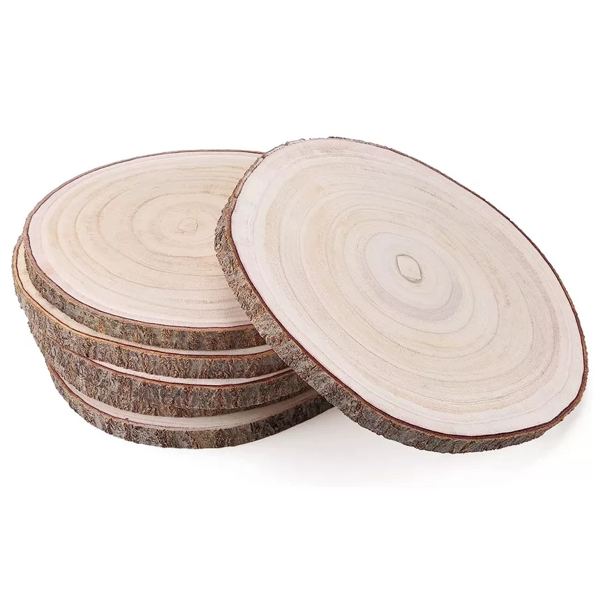 Large 12 Inch Natural Paulownia Wood Log Slice 1 Inch Thick Imported ...