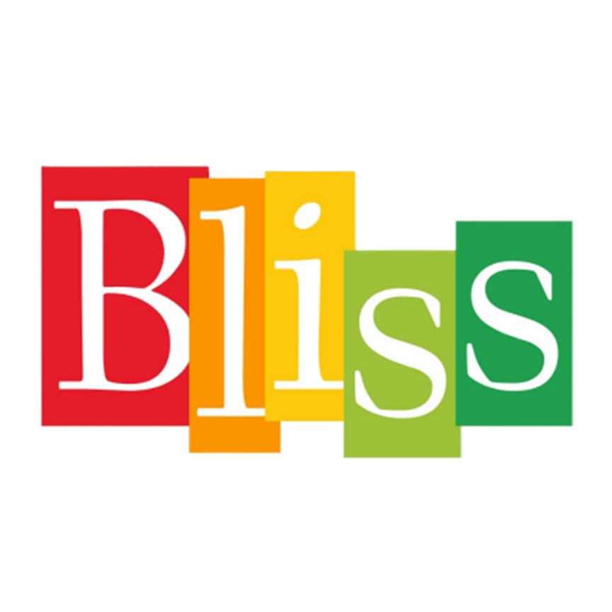 Bliss Stencil Paste Texture Paste Gesso Primer